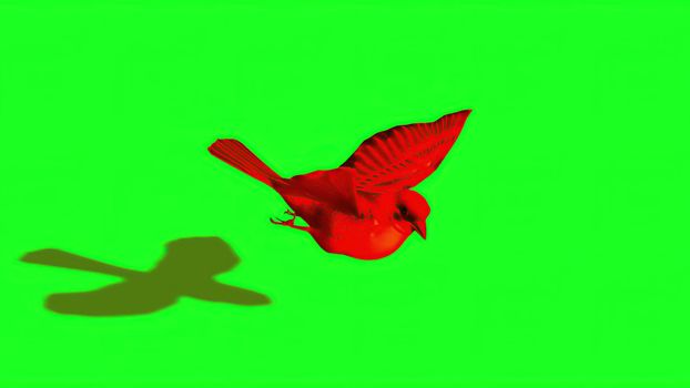 3d illustration - Silhouette of red Sparrow - Green Screen