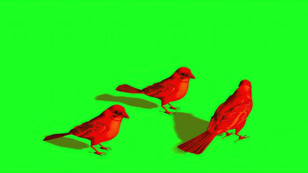 3d illustration - Silhouette of red Sparrow - Green Screen