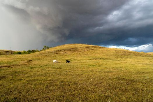 Prairie Storm Canada Summer time clouds warning