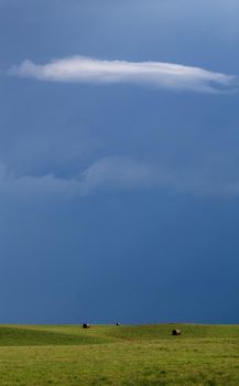 Prairie Storm Canada Summer time clouds warning