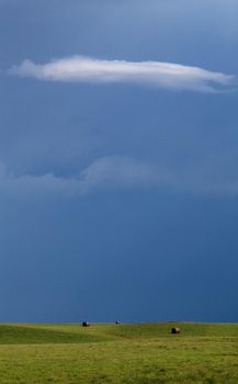 Prairie Storm Canada Summer time clouds warning