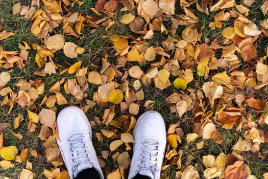Top view of a man shoes on a layer of yellow autumn leaves fallen from the trees. autumn concept.