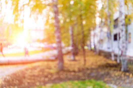 Defocused nature autumn background. Blurry natural fall backdrop in sunrise. Multicolor bokeh.