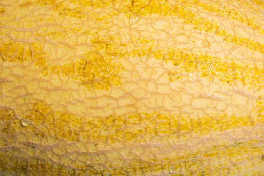 Sweet melon fruit texture background. Close up of a ripe fresh melon. Water drips
