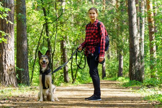 A girl with her dog is walking, in a country park, in the forest. Copy space in nature