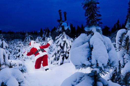 Santa Claus looking very surprised at the winter forest