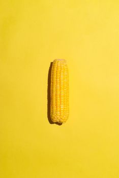 Fresh corn cob on yellow background. Ripe corn vegetables