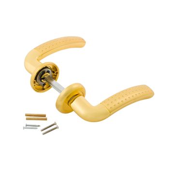 Door Knob assembly with bolts and screws on White Background