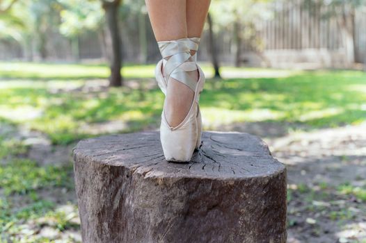 Close-up of the ballerina's feet on a log in the park