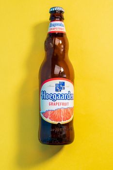 Tyumen, Russia-May 25, 2021: Beer Hoegaarden aluminum can. With grapefruit flavor