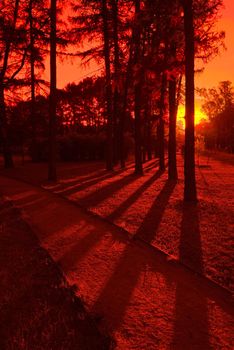 Photo taken with red photofilter on the lens to exaggerate sunset effect