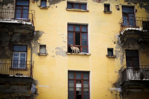 city ghetto scene