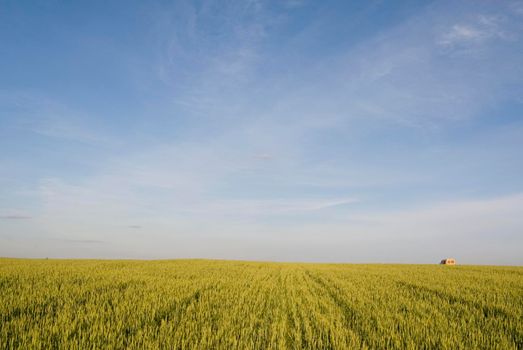Yellow car goes through countryside landscape