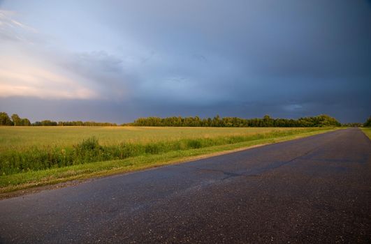 Wet road right after the rain