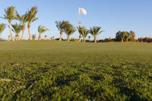 Low angle view on golf field with flag