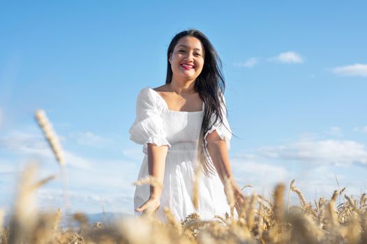 Young Woman in white dress standing on golden wheat field at sunny day, touching gently the wheat. High quality photo.