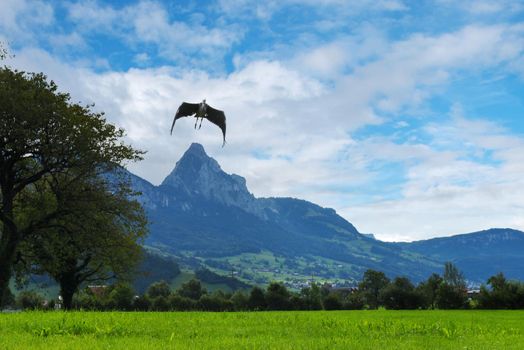 Landscape with mountains and flying bird, Switzerland Alps.
