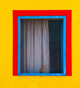 Cat sitting behind window of a colorful house painted with yellow, red and blue colors