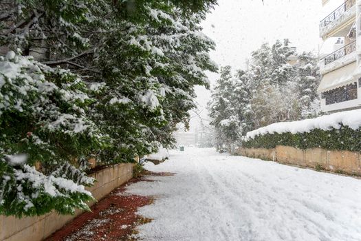 ATHENS, GREECE - February 16 2021: Cars totally covered with snow in Vrilissia district, during snow storm in Athens city, capital of Greece, Europe