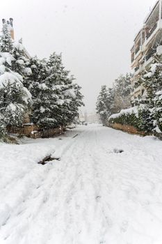 ATHENS, GREECE - February 16 2021: Cars totally covered with snow in Vrilissia district, during snow storm in Athens city, capital of Greece, Europe