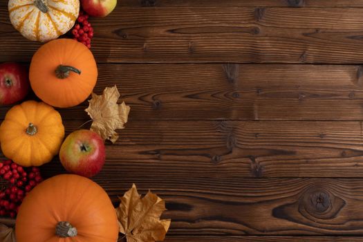 Autumn food background, pumpkin, apple, rowan on old tabletop background with copy space for text