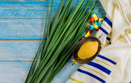 Decorations Jewish holiday celebration of Sukkot with four species etrog, lulav, hadas, arava