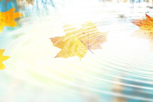 Beautiful autumn background with yellow and red leaves.