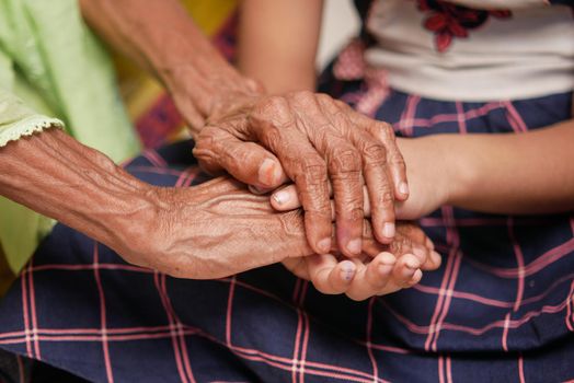 detail shot of child girl holding hand of a senior women ,