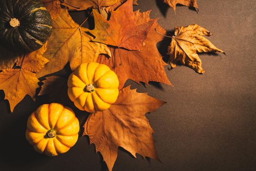 Happy Thanksgiving Day with pumpkin and maple leaves