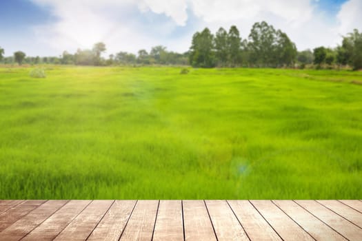 Wooden table with environmental on grassland field.