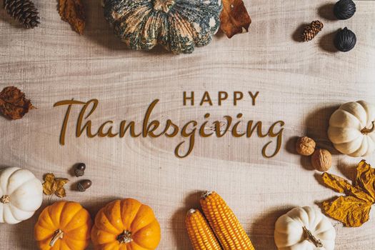 Happy Thanksgiving Day with pumpkin and nut on wooden table