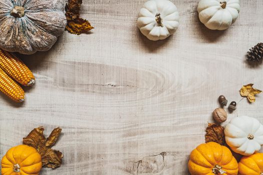 Happy Thanksgiving Day with pumpkin and nut on wooden table