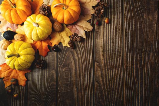 Happy Thanksgiving Day with pumpkin and nut on wooden table