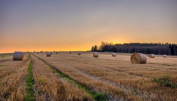 sunset over Straw bales stacked in a field at summer time, Vysocina Czech Republic