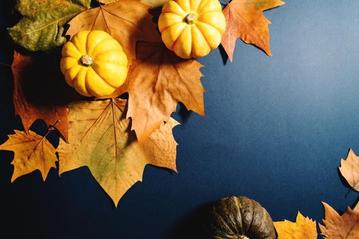 Happy Thanksgiving Day with maple leaves and pumpkin on blue background