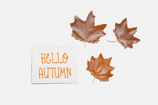 Hello autumn concepts with fall leaves and greeting card on white background