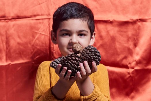 A young boy holding pine cones over orange background