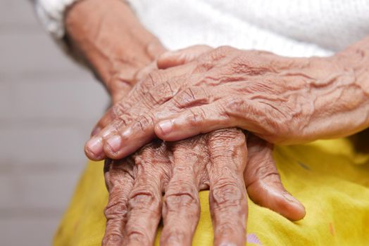 close up of hands of a elderly person ,