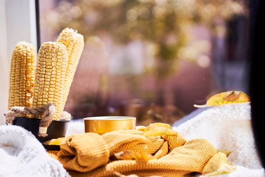 Corns, autumn leaves, pine cones and coffee cup on windowsill. Creative autumnal background near the windows in a sunny autumn day