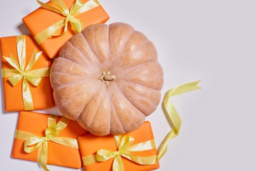 Orange gift box and pumpkin on white. Thanksgiving Day gift and freshly harvested pumpkin on white background