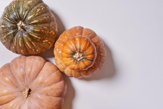Various pumpkins on white background with copy space. Top view