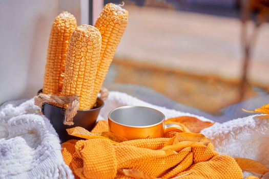 Corns, autumn leaves, pine cones and coffee cup on windowsill. Creative autumnal background near the windows in a sunny autumn day