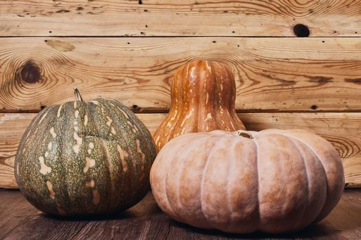 Three pumpkins on wooden table. Harvest, thanksgiving, Halloween concepts