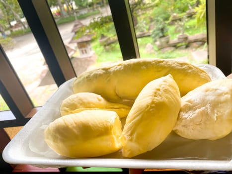 Durian is a king of fruit in Thailand and asia fruit have a spikes shell and sweet can buy at Thai street food and fruit market at agriculture farm