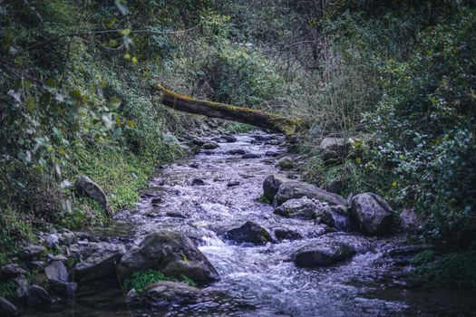 Great photo of a river with running water through a Improvised wooden bridge of broken trees over stream in the early spring forest.