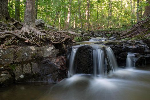 Beautiful softness in the texture of the long exposure spilling water juxtaposes with the roughness of the rocks it falls over and luch green woodland background. Shot in natural dappled light with copy space and no people. Idyllic nature background environmental scene.