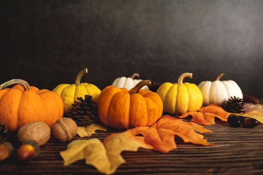 Happy Thanksgiving Day with pumpkin and nut on wooden table