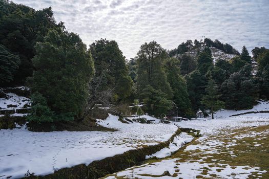 A landscape of a valley in the mountains covered with snow and surrounded with trees