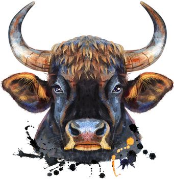 Bull watercolor graphics. Bull animal illustration with splashes watercolor textured background.