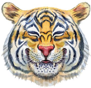 Watercolor illustration of orange smiling tiger